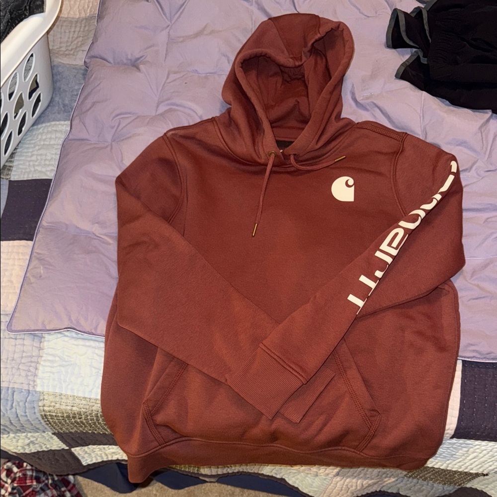 Carhartt Men's Rust Hoodie Sweater